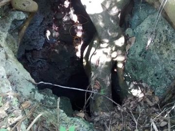En Venta, Espectacular Terreno con más de 14 Cenotes, Vegetación alta y abundant