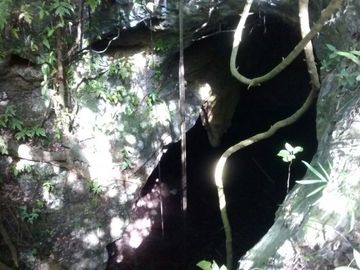 En Venta, Espectacular Terreno con más de 14 Cenotes, Vegetación alta y abundant