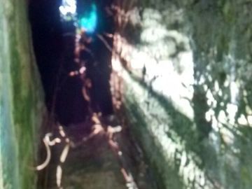 En Venta, Espectacular Terreno con más de 14 Cenotes, Vegetación alta y abundant