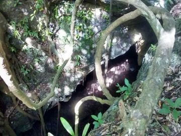 En Venta, Espectacular Terreno con más de 14 Cenotes, Vegetación alta y abundant