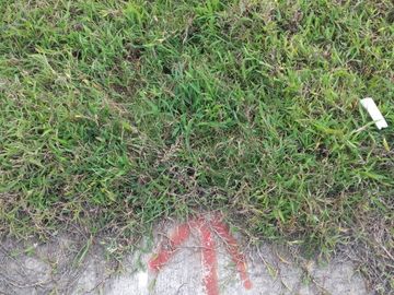 Terreno de venta en Ibarra / Ejido de Caranqui