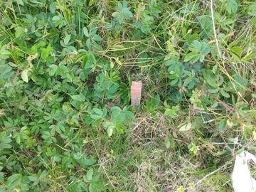 Terreno de venta en Ibarra / Ejido de Caranqui