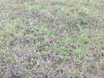 Terreno de venta en Ibarra / Ejido de Caranqui