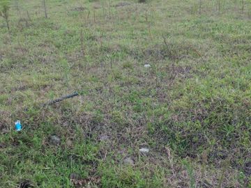 Terreno de venta en Ibarra / Ejido de Caranqui