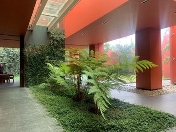 Residencia en Coyoacan