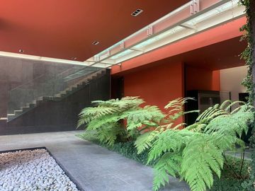 Residencia en Coyoacan