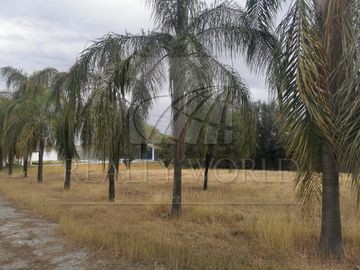 Quintas Venta Juárez Zona Juárez 30-QV-2125