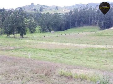 Terreno de venta en Tarqui -  Victoria Portete – código:17405