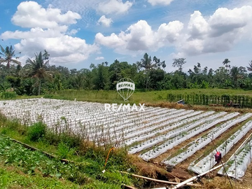 DIJUAL TANAH & BANGUNAN RESTO CAWAN VIEW-KENJO, BANYUWANGI