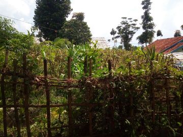 25 Tumbak Tanah Kebun & Datar, Tugu 6, Tugumukti, Cisarua, Bandung Barat