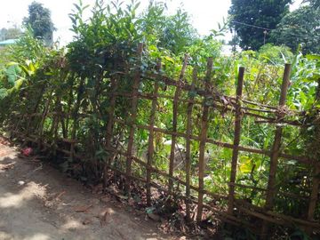25 Tumbak Tanah Kebun & Datar, Tugu 6, Tugumukti, Cisarua, Bandung Barat