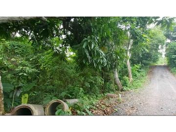 Sea Confiable Vende 15 Hectáreas + 4,159.37 mts Arraijan Centro.