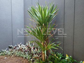 Dijual rumah di the mansion Pakuwon indah Surabaya barat