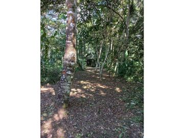 VENTA DE CASA + TERRENO BUEN CLIMA