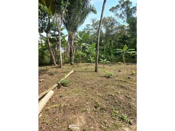 VENTA DE CASA + TERRENO BUEN CLIMA