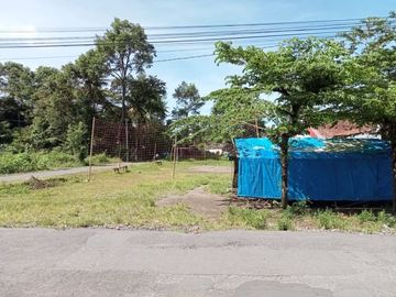 Tanah Kavling di Jalan Karanganyar Raya, Blotan Dekat Budi Mulia