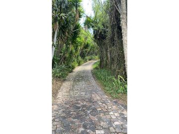 SE VENDE  FINCA VEREDA MONIQUIRA VILLA DE LEYVA
