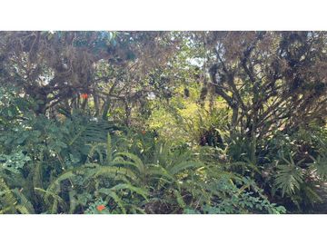 SE VENDE  FINCA VEREDA MONIQUIRA VILLA DE LEYVA