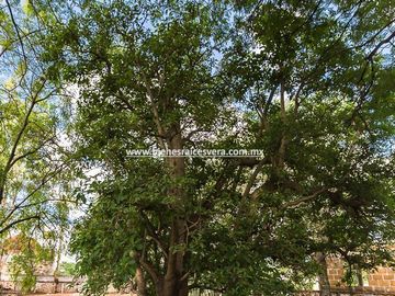 CASA EN VENTA EN TEQUISQUIAPAN EN GRANJAS RESIDENCIAL ELVI
