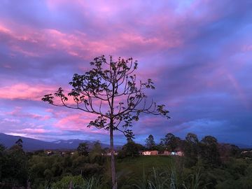 VENTA de CASAS en PEREIRA