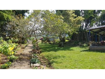 SE VENDE FINCA EN KM 30 SAN BERNARDO, DAGUA, VALLE DEL CAUCA