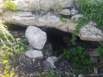 Rancho en Venta con cenotes en excelente zona ganadera del Estado de Yucatán
