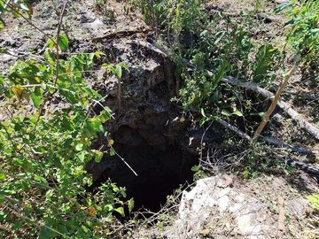 Rancho en Venta con cenotes en excelente zona ganadera del Estado de Yucatán