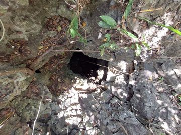 Rancho en Venta con cenotes en excelente zona ganadera del Estado de Yucatán