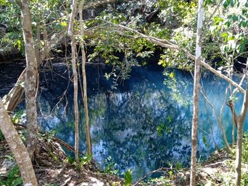 Rancho en Venta con cenotes en excelente zona ganadera del Estado de Yucatán