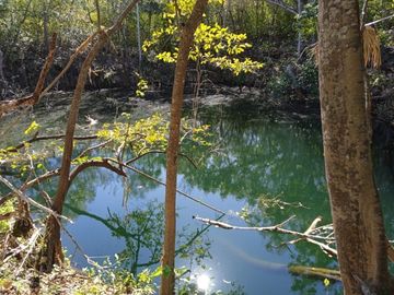 Rancho en Venta con cenotes en excelente zona ganadera del Estado de Yucatán