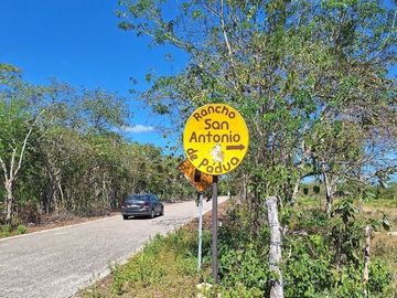 Rancho en Venta con cenotes en excelente zona ganadera del Estado de Yucatán