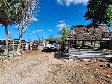 Rancho en Venta con cenotes en excelente zona ganadera del Estado de Yucatán