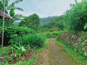 Dijual Tanah Tengah Kebun Teh Kemuning ngargoyoso Karanganyar
