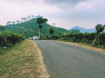 Dijual Tanah Tengah Kebun Teh Kemuning ngargoyoso Karanganyar