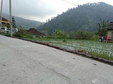 Tanah kemuning area wisata gunung lawu