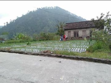 Tanah kemuning area wisata gunung lawu