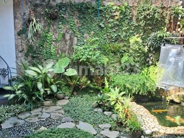Dijual Rumah 1 Lantai Unfurnished Siap Huni Anggrek Loka-Bsd