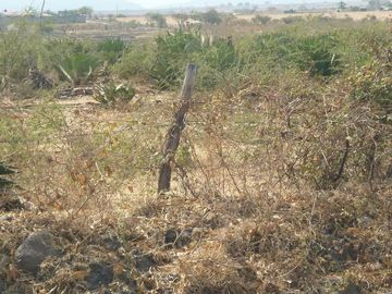 Terreno Urbano en Pueblo Viejo, Temixco, Morelos CAEN-47-Tu