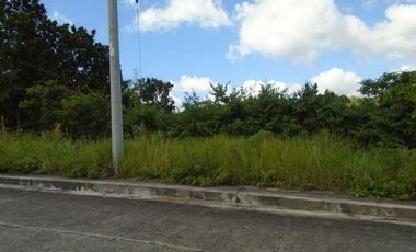 150 Sqm Lot for Sale in Vista Grande Talisay Cebu City near the Clubhouse