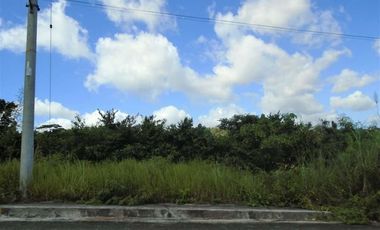 150 Sqm Lot for Sale in Vista Grande Talisay Cebu City near the Clubhouse