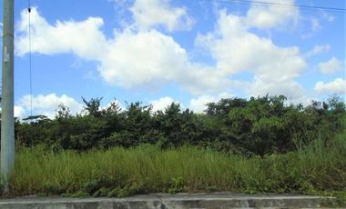 150 Sqm Lot for Sale in Vista Grande Talisay Cebu City near the Clubhouse