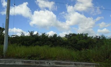 150 Sqm Lot for Sale in Vista Grande Talisay Cebu City near the Clubhouse