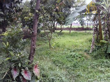 Tanah di Rancaekek Bonus Beberapa Kios dan Rumah | LINDAY