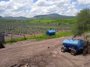 RANCHOTE EN SAN FELIPE GTO