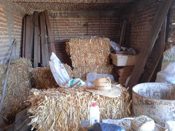 RANCHOTE EN SAN FELIPE GTO