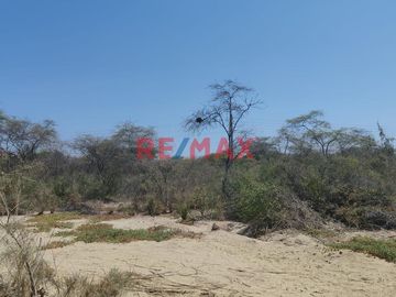 Se pone a la venta un amplio terreno de 2.3677 hectáreas con753,80 ml , ubicado Sector La Legua del distrito Catacaos ,a pocos metros de l carretera p