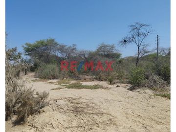 Se pone a la venta un amplio terreno de 2.3677 hectáreas con753,80 ml , ubicado Sector La Legua del distrito Catacaos ,a pocos metros de l carretera p