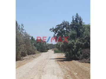 Se pone a la venta un amplio terreno de 2.3677 hectáreas con753,80 ml , ubicado Sector La Legua del distrito Catacaos ,a pocos metros de l carretera p