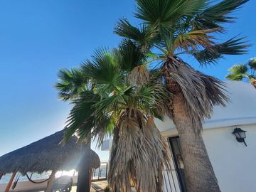 CASA DE PLAYA en Venta EN AVÁNDARO 611.51 m2 Altata