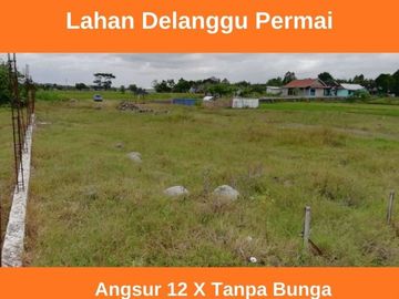 Tanah Dijual Klaten Area Delanggu